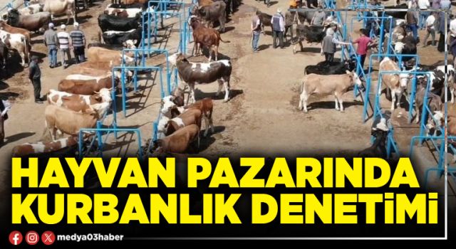 Hayvan pazarında kurbanlık denetimi