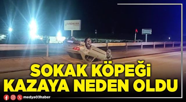 Sokak köpeği kazaya neden oldu