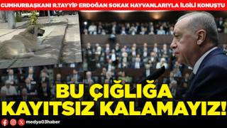 Bu çığlığa kayıtsız kalamayız!