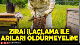 Zirai ilaçlama ile arıları öldürmeyelim!