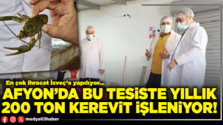 Afyon’da bu tesiste yıllık 200 ton kerevit işleniyor!