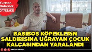 Başıboş köpeklerin saldırısına uğrayan çocuk kalçasından yaralandı