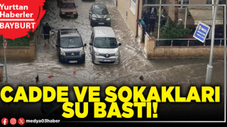 Cadde ve sokakları su bastı!