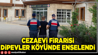 Cezaevi firarisi Dipevler köyünde enselendi