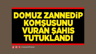 Domuz zannedip komşusunu vuran şahıs tutuklandı