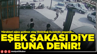 Eşek şakası diye buna denir!