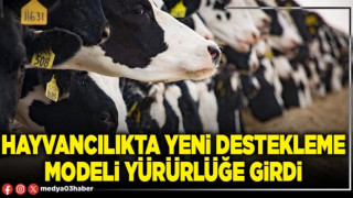 Hayvancılıkta yeni destekleme modeli yürürlüğe girdi